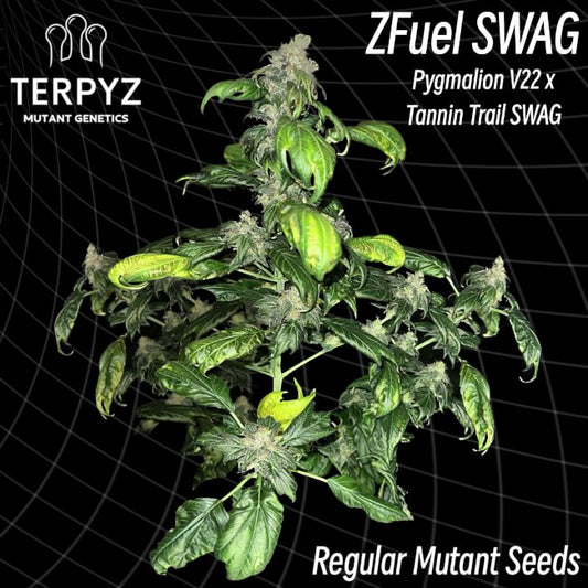 TerpyZ Mutant Genetics Zfuel Swag Regular Seeds seed packaging