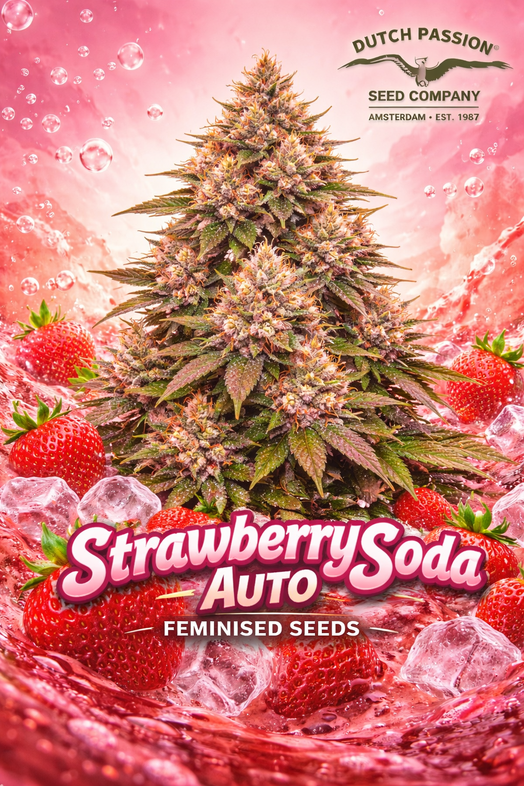 Promotional artwork for Strawberry Soda Auto Feminised Seeds by Dutch Passion, featuring a uniquely shaped cannabis plant silhouette with pink-tinted buds against a vibrant fizzy strawberry soda background with strawberries, bubbles and ice, plus the strain name and Dutch Passion logo displayed.