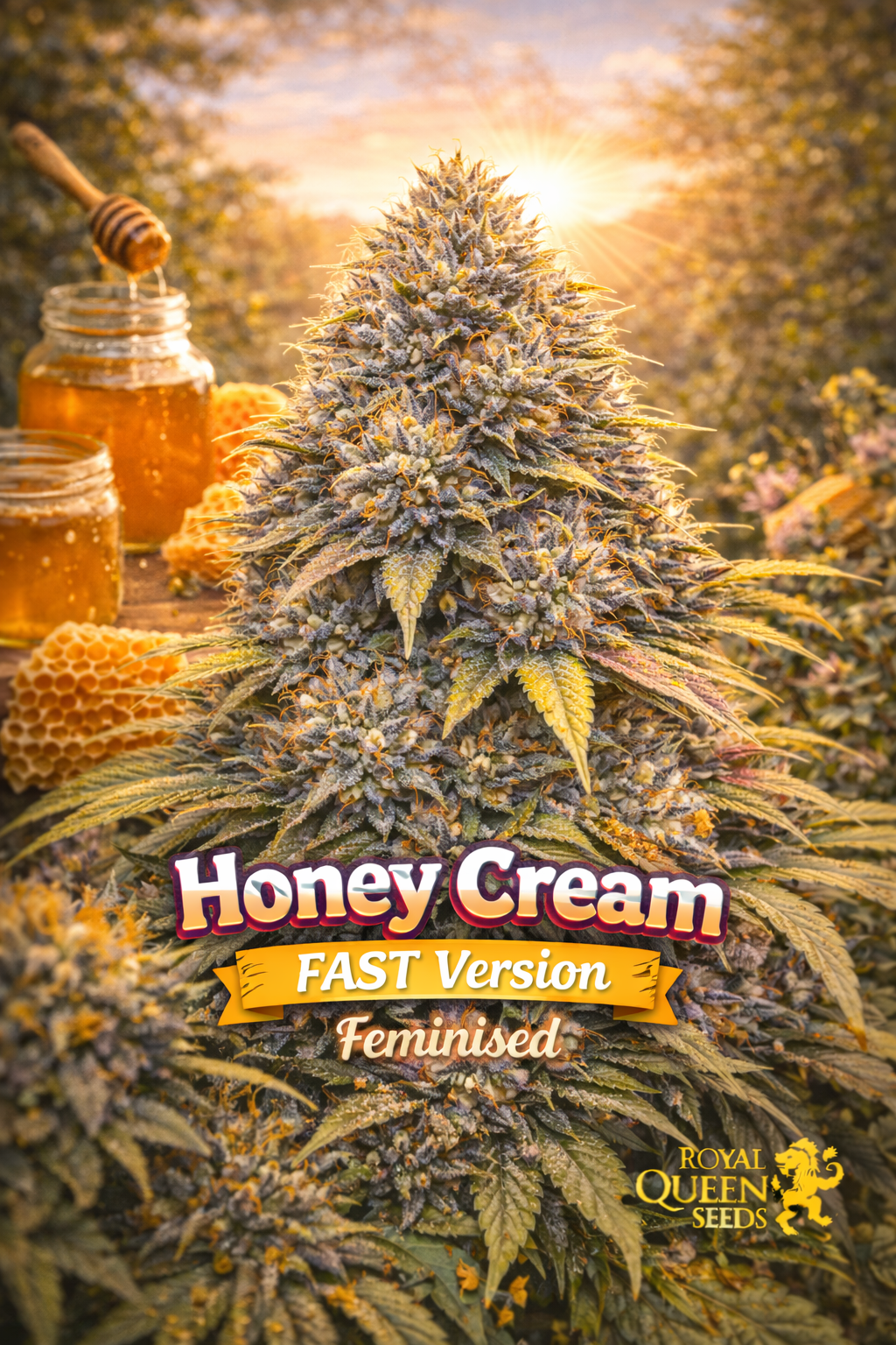 Honey Cream FAST Version Feminised cannabis plant with frosty buds in a warm honey-themed scene featuring jars of honey and honeycomb, with strain name and Royal Queen Seeds logo.