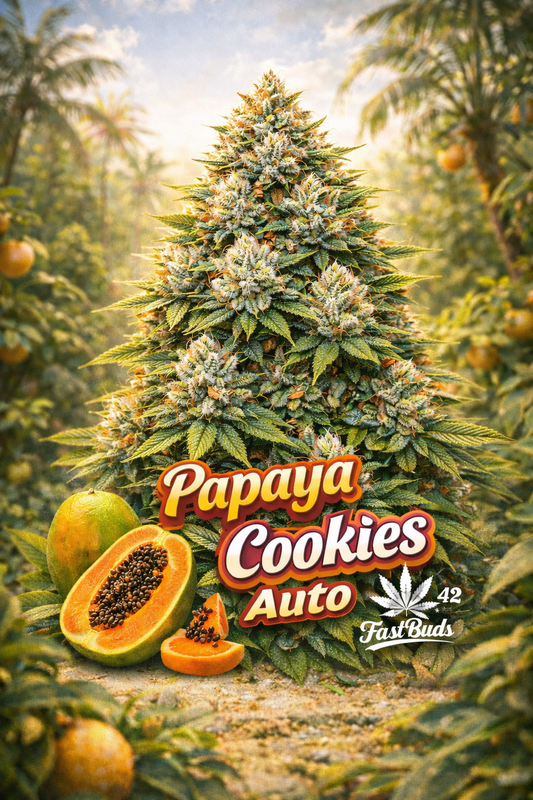 Hyper-realistic promotional artwork for Papaya Cookies Auto Feminised Seeds by Fast Buds, featuring a dense, tropical-themed cannabis plant with frosty buds and orange pistils set in a warm palm-grove backdrop, with ripe papaya slices, bold strain text, and the Fast Buds logo displayed at the bottom.