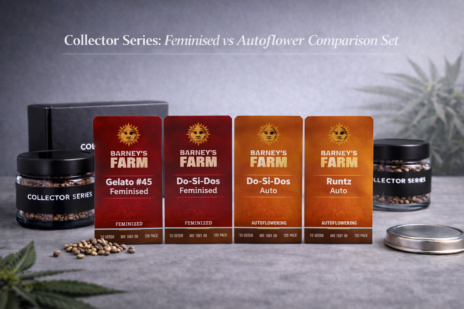 Collector Series Feminised vs Autoflower Comparison Set featuring three photoperiod feminised and three autoflower cannabis seed packs arranged side by side in a modern studio display