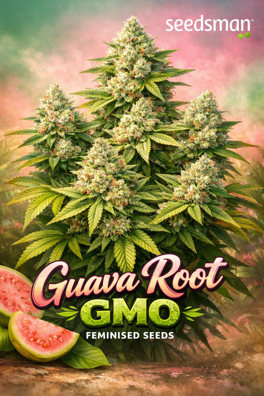 A hyper-realistic promotional artwork of the “Guava Root GMO Feminised Seeds” strain by Seedsman, featuring a large multi-cola cannabis plant with frosty resinous buds, vibrant green leaves, and subtle guava-pink highlights, set against a soft tropical haze background with the Seedsman logo in the top corner and guava slices near the bottom beside the bold strain name.