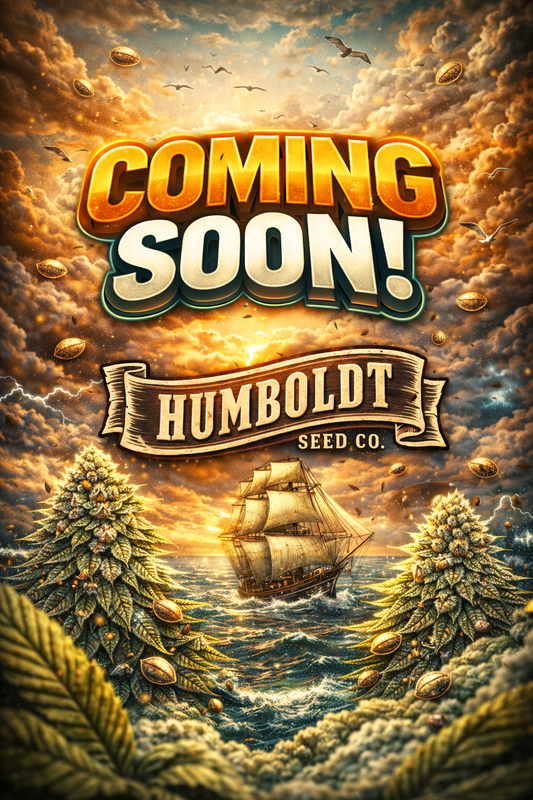 Apple Blossom Feminised Seeds – Humboldt Seed Co. – Coming Soon Placeholder Image