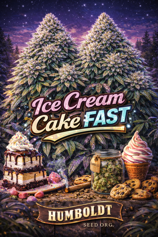 Hyper-realistic promotional artwork for Ice Cream Cake FAST Feminised Seeds by Humboldt Seed Org., featuring two large frosty cannabis plants with dense buds and abundant green fan leaves, set against a starry purple night sky, surrounded by a layered ice cream cake with sprinkles, soft-serve cones, cookies, candies, a jar of buds, bold strain text, and the Humboldt Seed Org. logo at the bottom.