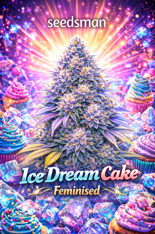 Ice Dream Cake Feminised cannabis plant promotional artwork with frosty multicoloured buds, glowing cupcake dessert background, bright neon lighting, Seedsman logo, and bold icy strain name at the bottom