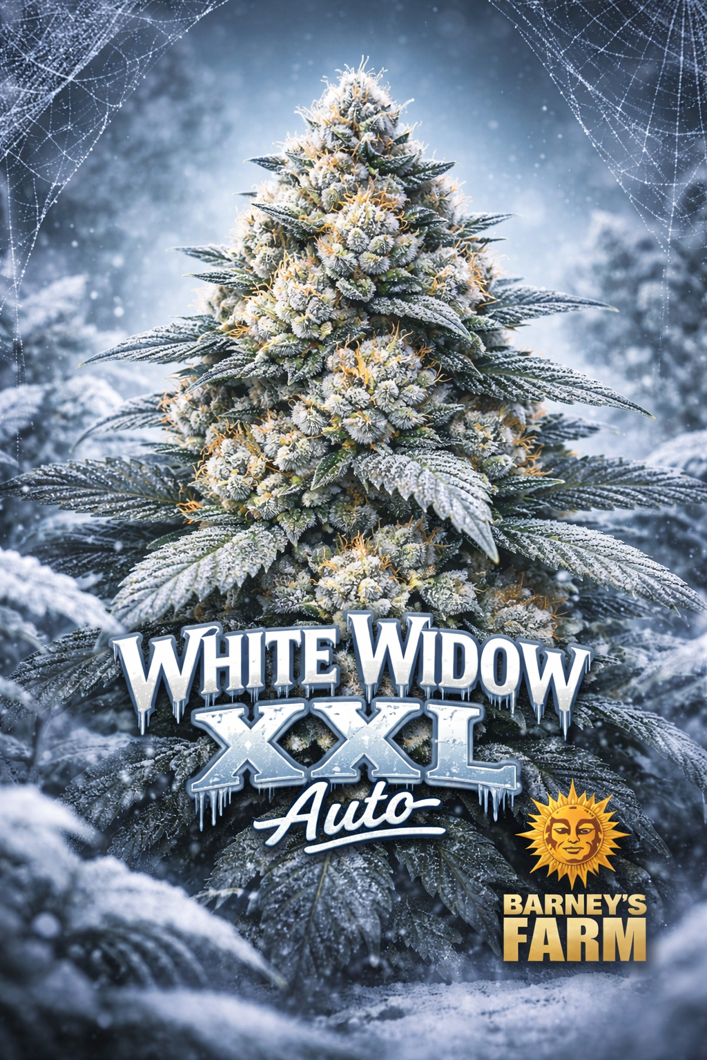 Hyper-realistic promotional artwork of “White Widow XXL Auto Feminised Seeds – Barney’s Farm,” featuring an extremely frosty, trichome-heavy cannabis plant with snow-covered leaves, orange pistils, a cold winter forest background, icy cobweb details, bold frozen-style strain name text, and the Barney’s Farm sun logo. No grow equipment shown.