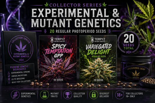 Promotional graphic for a seed collection set titled 'Experimental & Mutant Genetics' by Terpyz Seeds. The image shows three seed packet designs with cannabis-themed artwork, a black jar labeled 'Laughing Leaf Seeds,' scattered coffee beans, and a dark purple background with cannabis leaves and glowing purple effects.