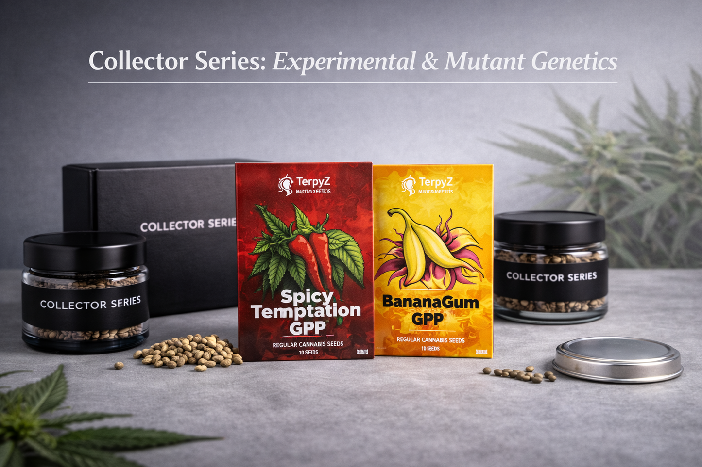 Collector Series Experimental & Mutant Genetics bundle featuring Spicy Temptation GPP and BananaGum GPP regular cannabis seed packs from TerpyZ Mutant Genetics in a modern studio display
