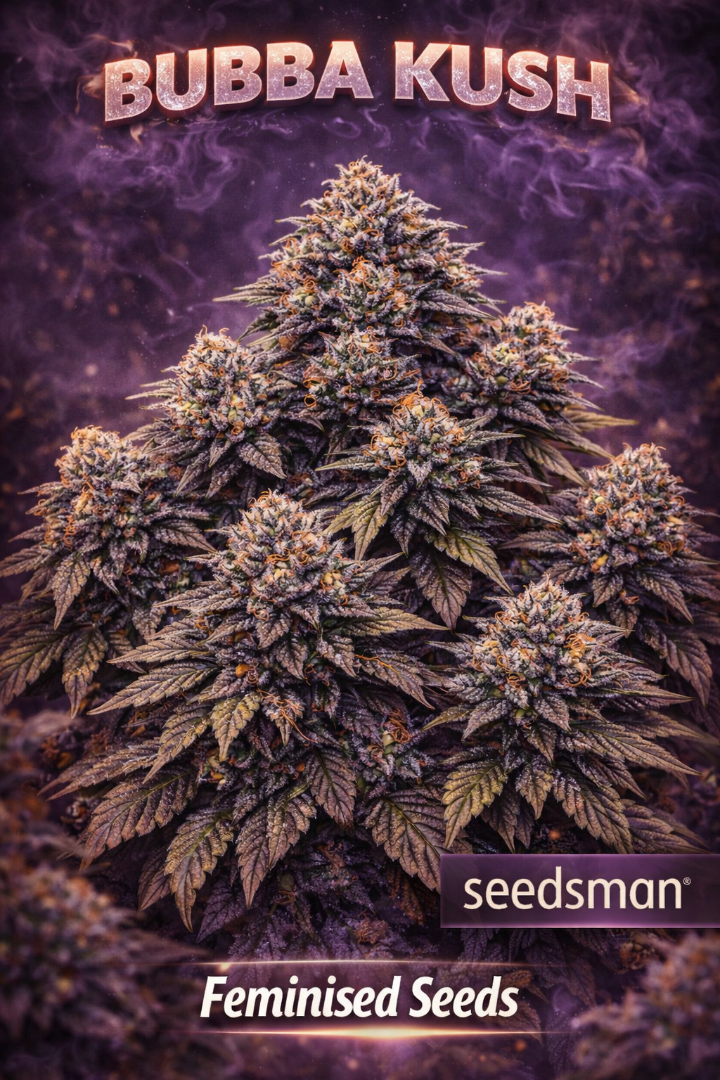 Hyper-realistic Bubba Kush Feminised cannabis plant with multiple dense purple-green buds coated in heavy trichomes, orange pistils, thick branching structure, and a smoky purple backdrop featuring “Bubba Kush – Feminised Seeds – Seedsman” branding.