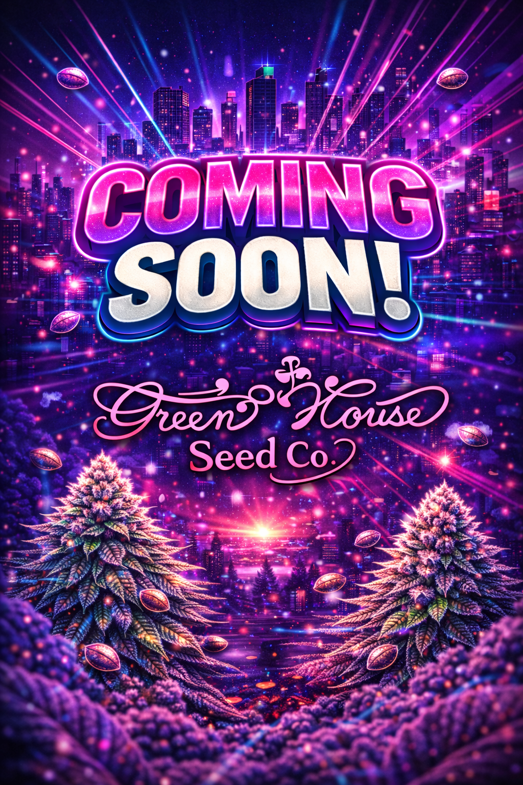 Milky Dreams Feminised Seeds – Greenhouse Seed Co. – Coming Soon Placeholder Image