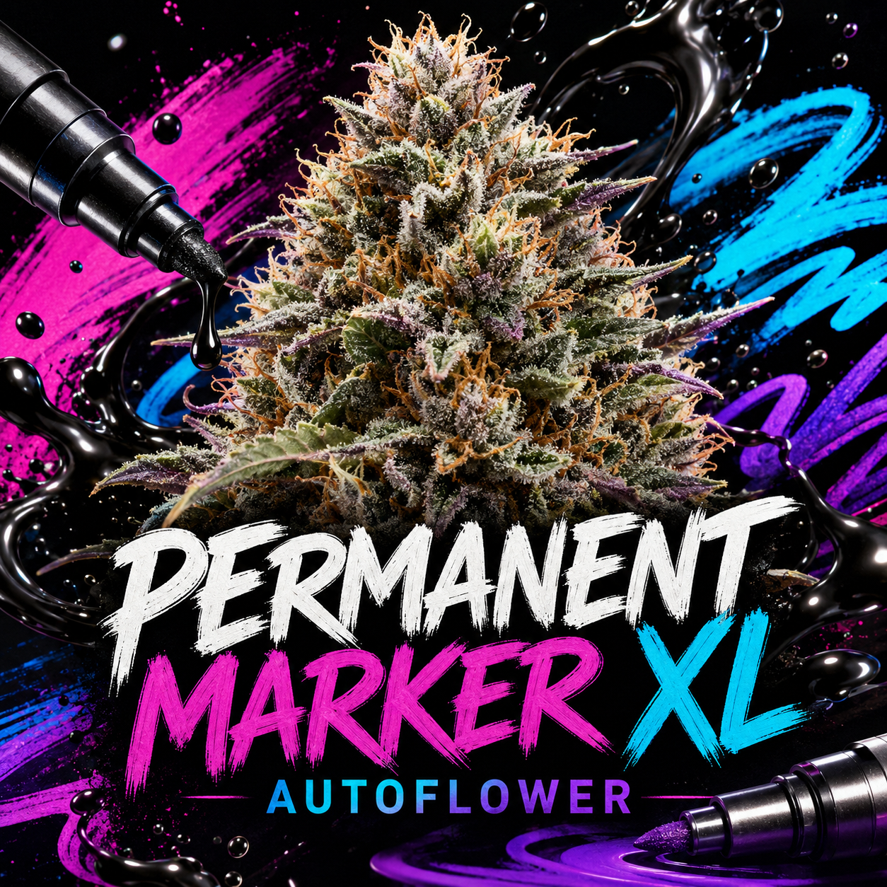 A large, detailed cannabis bud centered on a black background with colorful paint-like splashes in pink, blue, and purple. Bold text at the bottom reads 'PERMANENT MARKER XL' with 'AUTOFLOWER' underneath, and stylus pens appear at the corners.