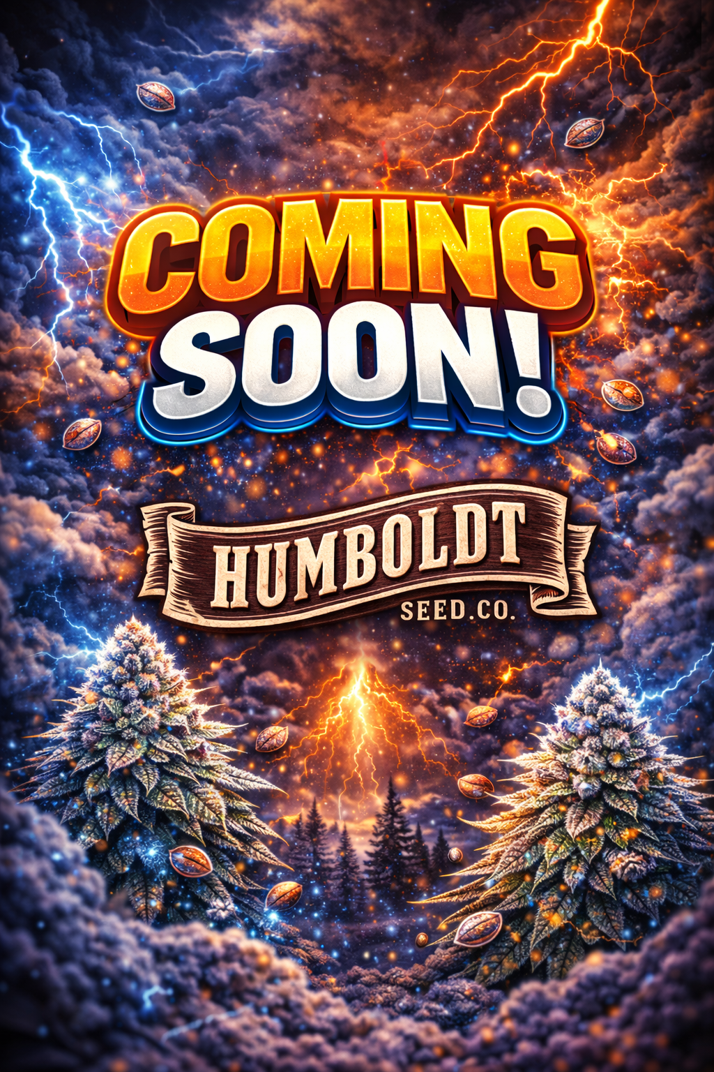 All Gas OG Feminised Seeds – Humboldt Seed Co. – Coming Soon Placeholder Image