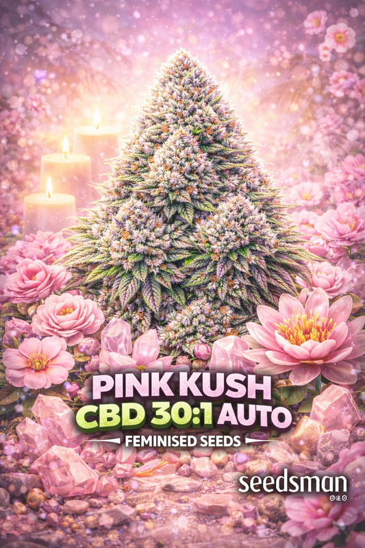 Hyper-realistic promotional image of a large frosty Pink Kush CBD 30:1 Auto cannabis bud with soft pink and purple hues and dense trichomes, surrounded by blooming pink flowers, rose-quartz crystals, and glowing candles. A dreamy pastel background enhances the calming CBD theme. Bold “Pink Kush CBD 30:1 Auto Feminised Seeds” text appears at the bottom with the Seedsman logo.