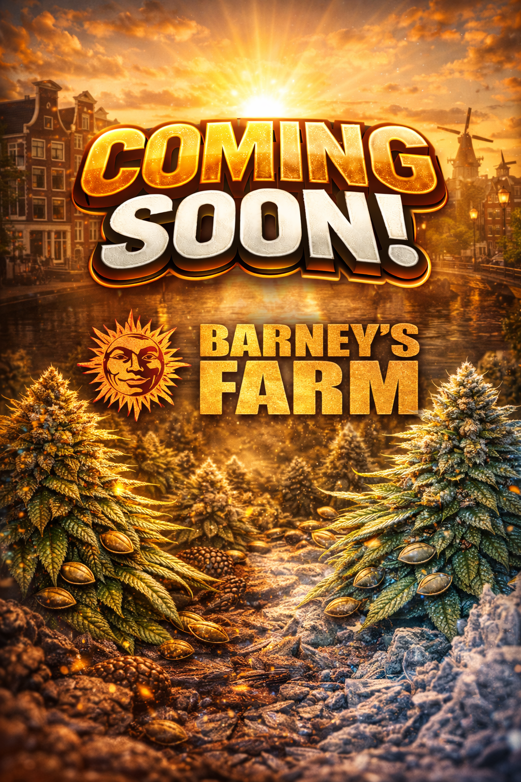 Mendo Breath Feminised Seeds – Barney's Farm – Coming Soon Placeholder Image