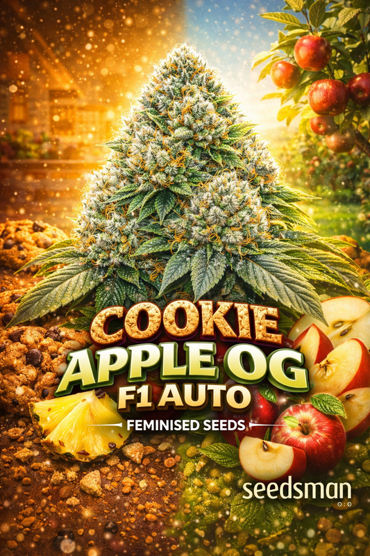 Hyper-realistic promotional image of a large frosty Cookie Apple OG F1 Auto cannabis bud with dense trichomes and orange pistils, set against a warm cookie-and-apple themed background with glowing caramel tones, red apple slices, and cookie pieces. Bold “Cookie Apple OG F1 Auto Feminised Seeds” text appears at the bottom with the Seedsman logo.