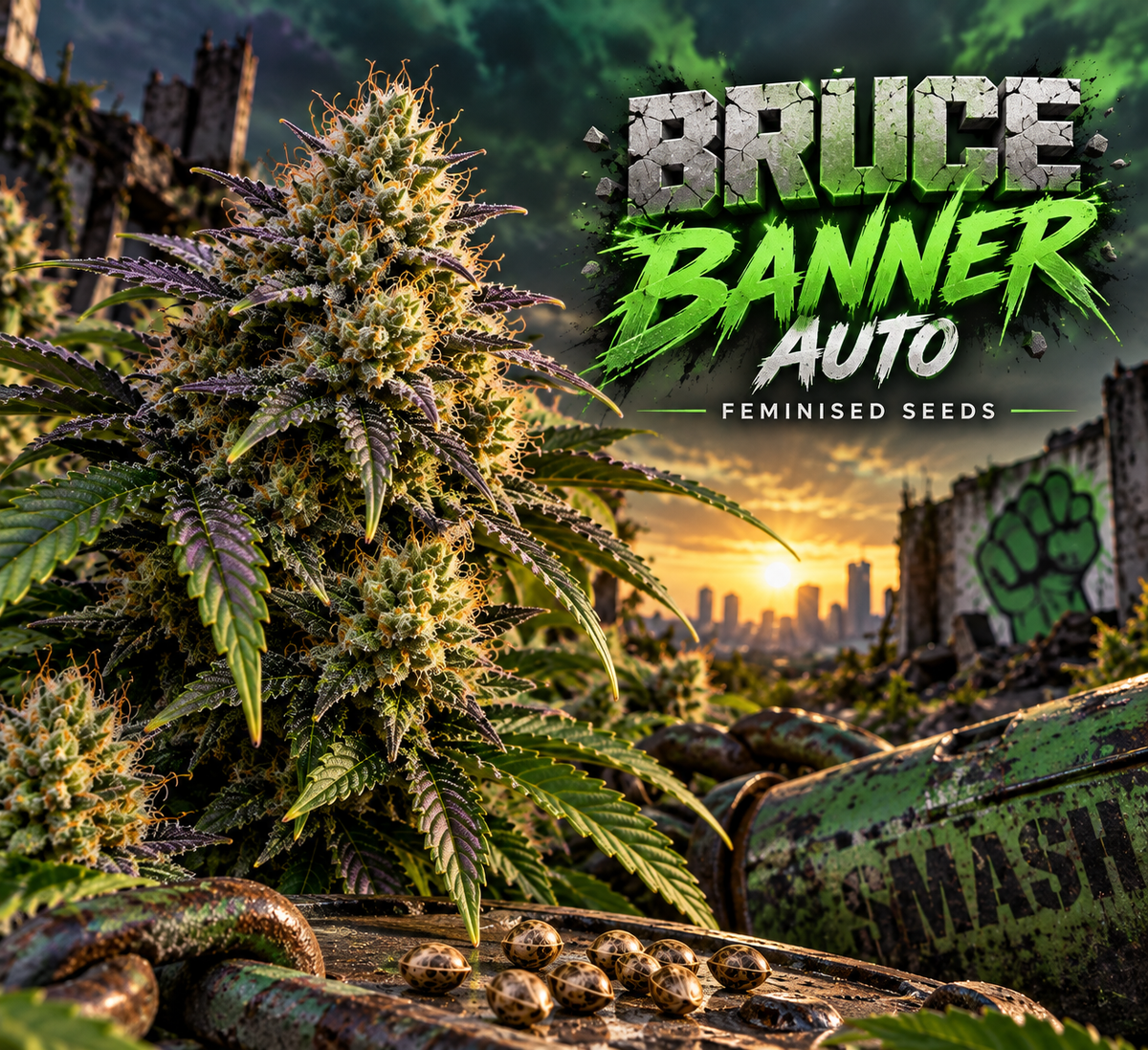 Bruce Banner Auto Feminised Seeds with frosty cannabis flowers and seeds in a dramatic green industrial cityscape.