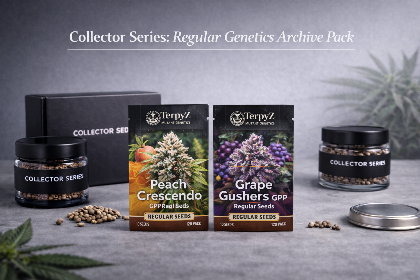 Collector Series Regular Genetics Archive Pack featuring Peach Crescendo GPP and Grape Gushers GPP regular cannabis seed packs from TerpyZ Mutant Genetics in a modern studio setting