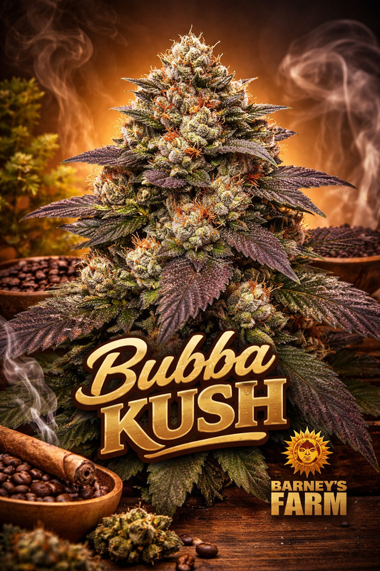 Hyper-realistic promotional artwork of “Bubba Kush Feminised Seeds – Barney’s Farm,” featuring a dense, frosty cannabis plant with purple and green leaves, bright orange pistils, a warm smoky brown background, gold 3D strain name text, and the Barney’s Farm sun logo in the bottom corner. No grow equipment shown.