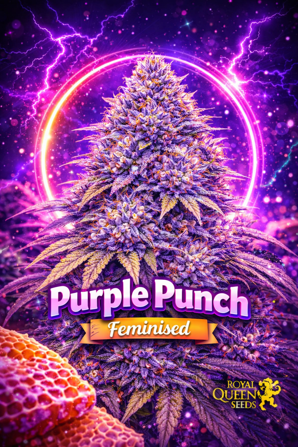 Purple Punch Feminised cannabis plant with vibrant neon purple buds in a cosmic promo scene featuring glowing rings, lightning effects, and Royal Queen Seeds branding.