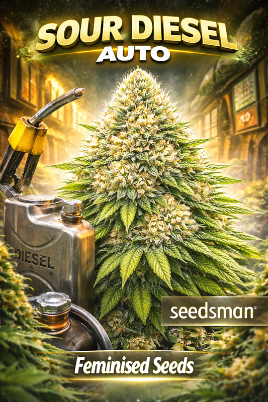 Hyper-realistic Sour Diesel Auto cannabis plant with dense fuel-themed bud structure, frosty trichomes, diesel can and fuel nozzle props, golden ambient lighting, and “Sour Diesel Auto – Seedsman – Feminised Seeds” branding.