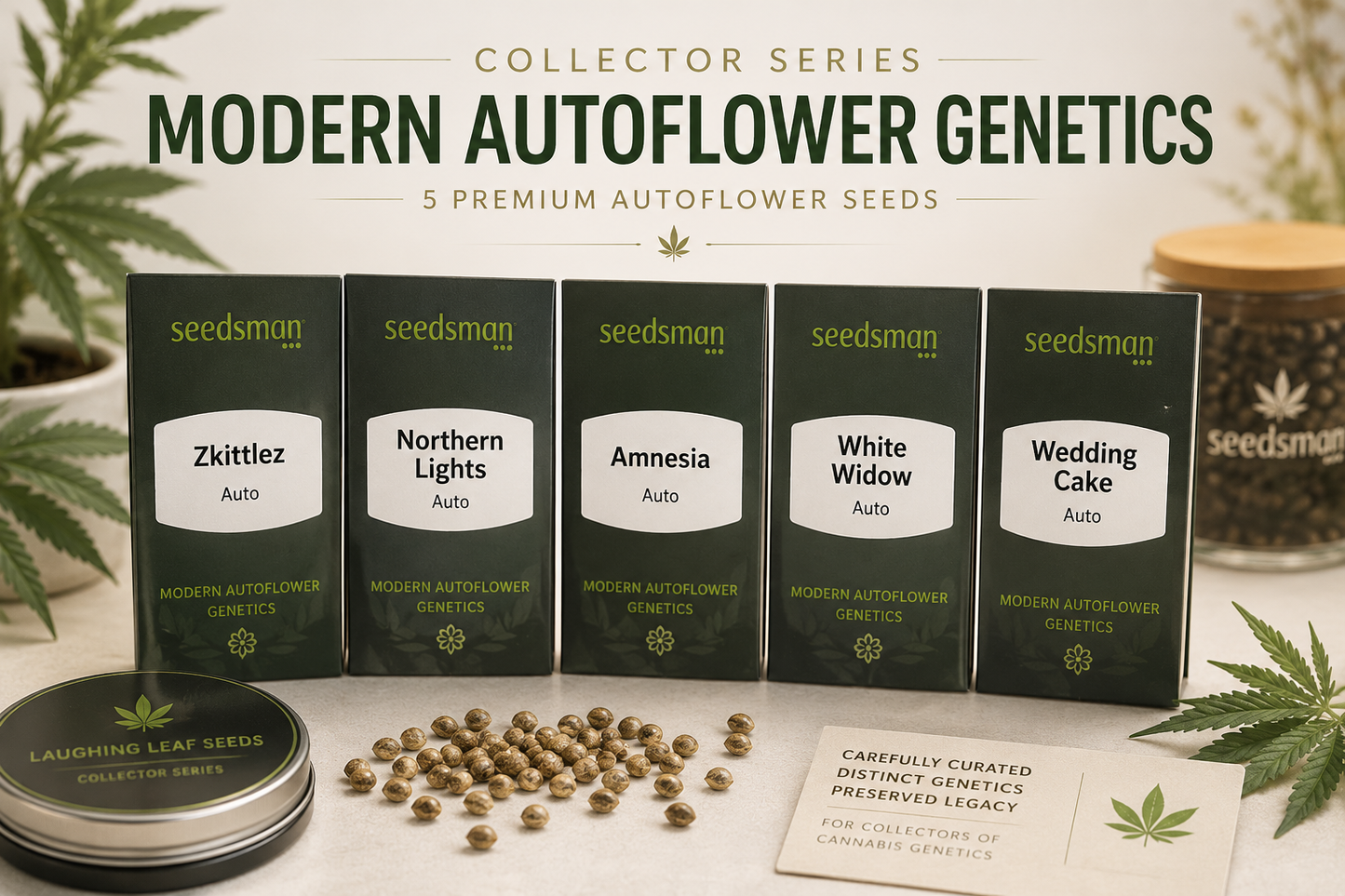 Five Seedsmen 'Modern Autoflower Genetics' premium seed boxes are lined up on a styled tabletop with cannabis leaves, loose seeds, a tin, and a card. The boxes are labeled: Zkittle, Northern Lights, Amnesia, White Widow, and Wedding Cake.