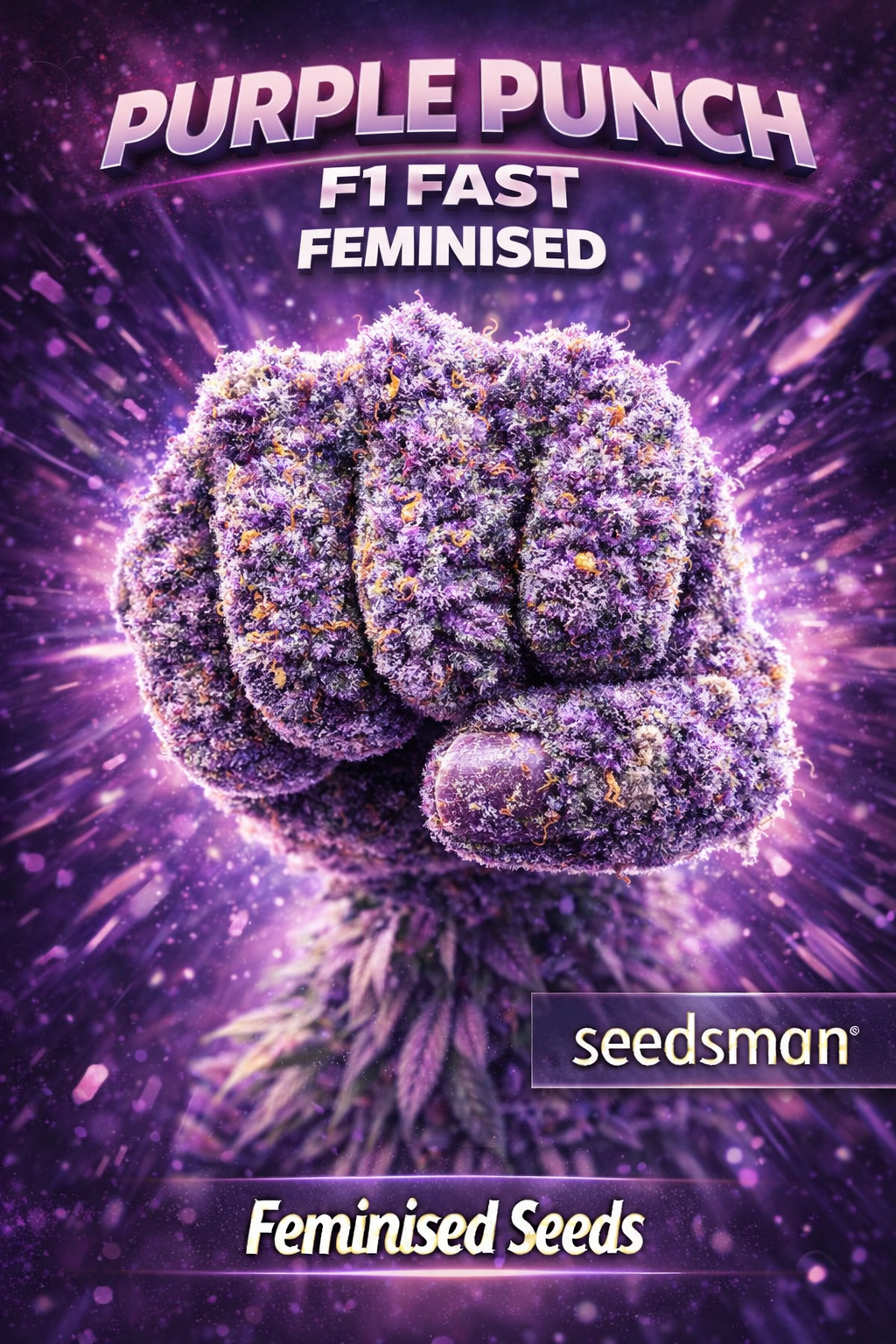 Hyper-realistic Purple Punch F1 Fast Feminised cannabis bud shaped like a giant purple fist punching forward toward the viewer, covered in dense frosty trichomes with vibrant purple and orange tones, explosive cosmic background effects, and “Purple Punch F1 Fast – Feminised Seeds – Seedsman” branding.