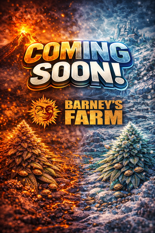 Candy Pack Bundle Feminised Seeds – Barney's Farm – Coming Soon Placeholder Image
