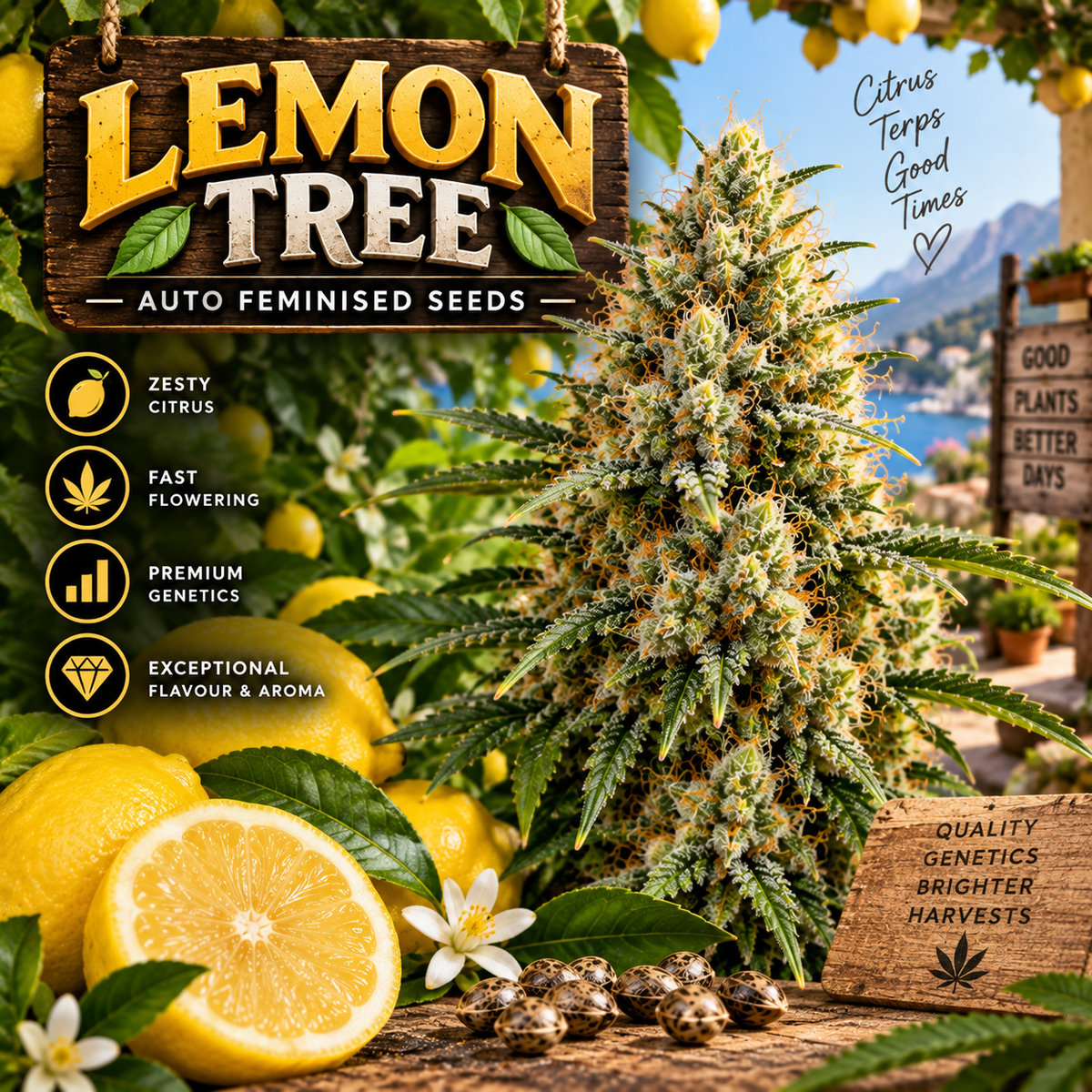 Lemon Tree Auto Feminised Seeds promotional image featuring a dense, resin-covered cannabis flower surrounded by fresh lemons, citrus blossoms, cannabis seeds and a bright Mediterranean lemon grove.