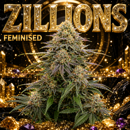 A large, feminized cannabis plant with dense buds stands in a luxurious, highly stylized setting. The background is dark and black with glowing gold crystals, candles, and sparkling lights, topped with large, glittering gold text that reads 'ZILLIONS' and 'FEMINISED'.