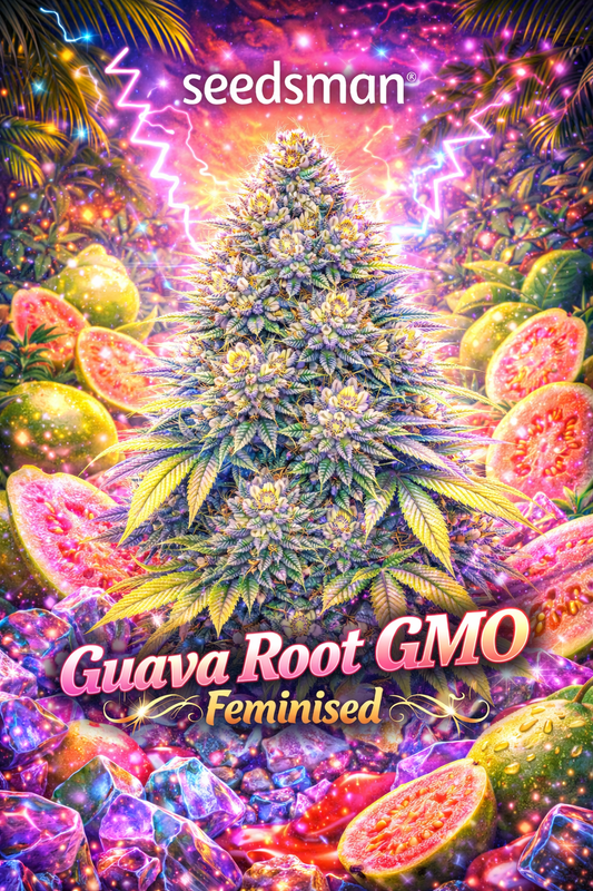 Guava Root GMO Feminised cannabis plant promotional artwork with frosty colourful buds, glowing guava fruit slices, neon tropical lighting, Seedsman logo, and bold bright strain name at the bottom