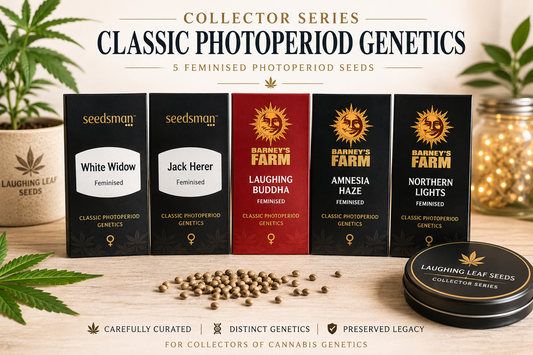 classic photoperiod genetics collector series by laughing leaf seeds