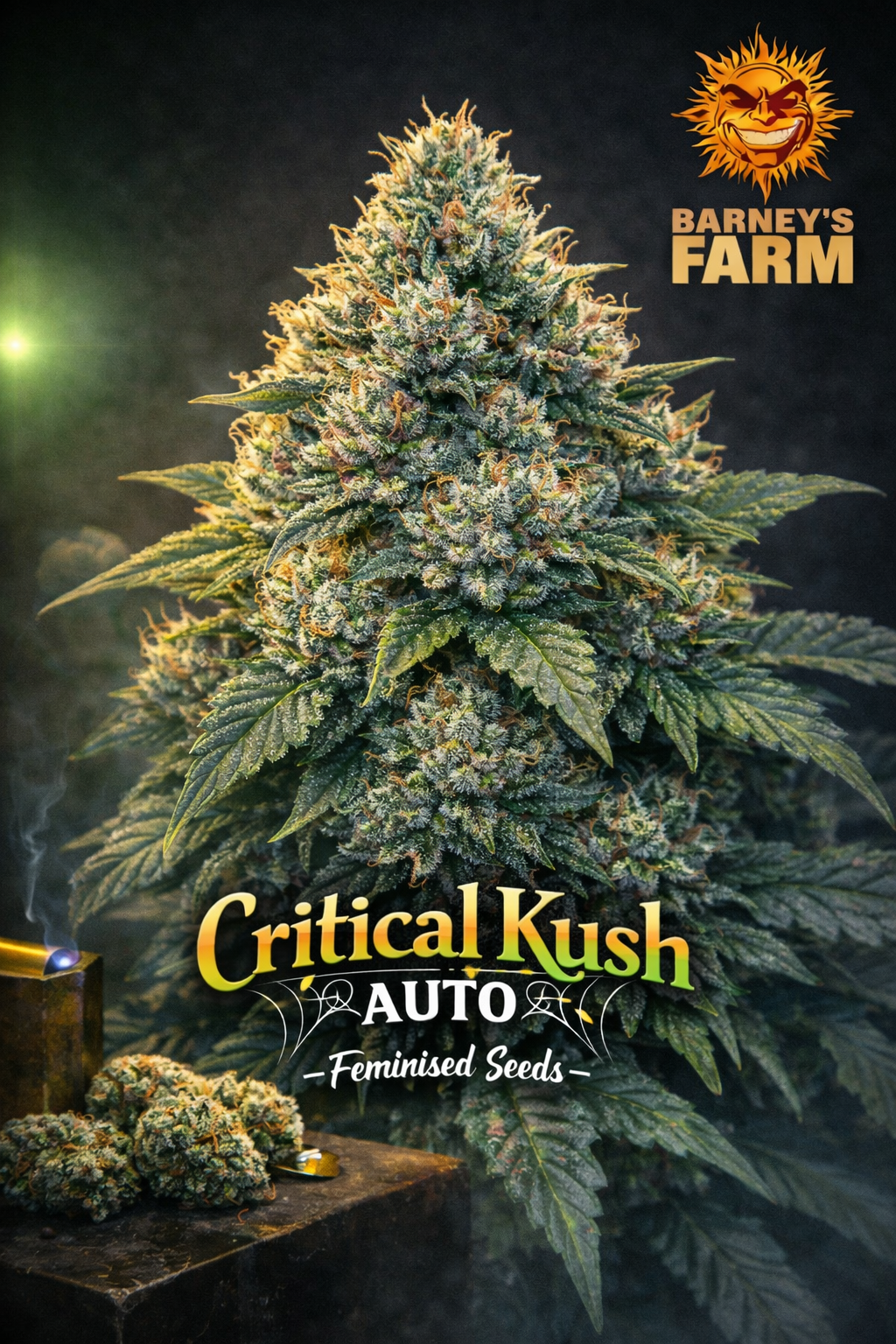 Hyper-detailed promotional artwork of Critical Kush Auto by Barney’s Farm, featuring a dense, resin-coated cannabis plant with a unique silhouette, warm-toned background, bold strain typography, and the Barney’s Farm logo. No cultivation or grow equipment shown.