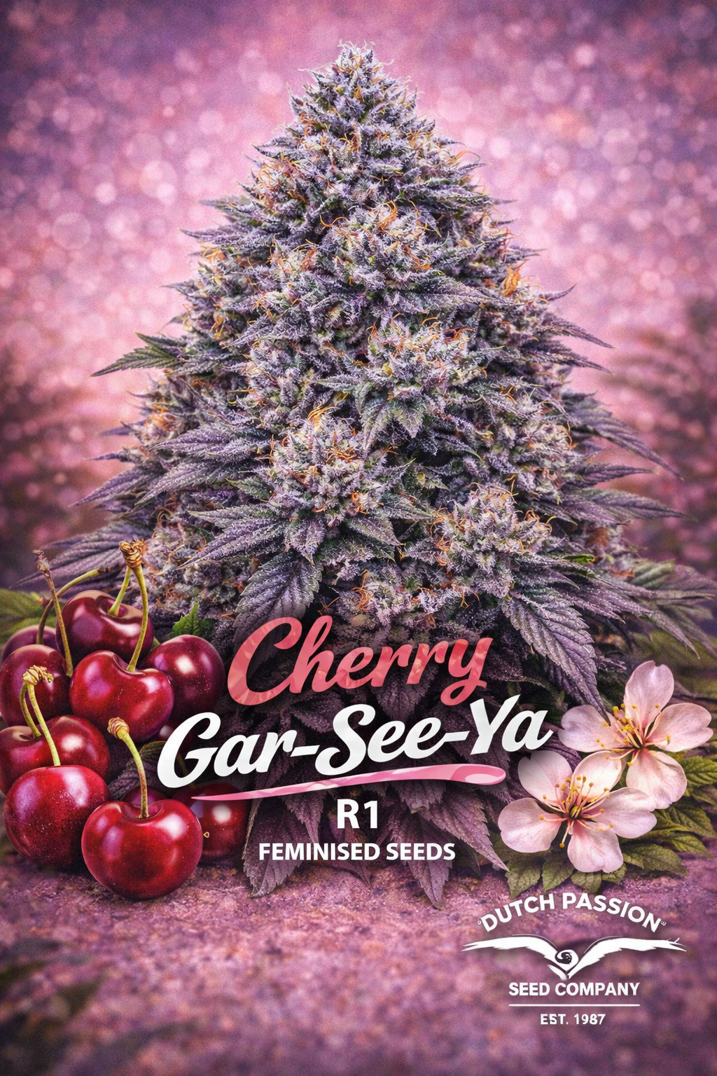 Hyper-realistic promotional artwork of Cherry Gar-See-Ya R1 cannabis plant with dense frosty purple and green buds against a pink-purple background. Fresh red cherries and cherry blossoms appear subtly at the bottom. Bold pink and white strain name text is displayed, alongside breeder branding.