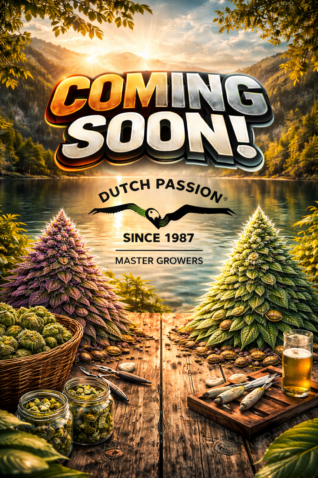 Frozen Biscotti Auto Feminised Seeds – Dutch Passion – Dutch Passion cannabis seeds (coming soon)