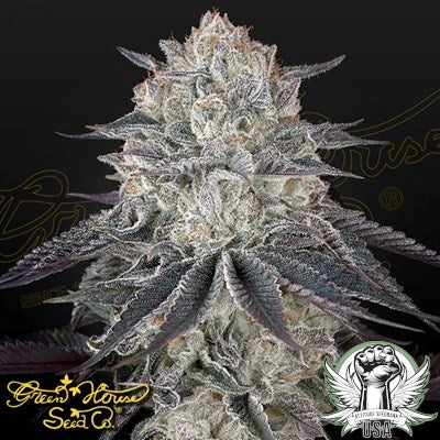 Close-up image of a frosty cannabis flower with dense trichome coverage, photographed against a dark background, featuring Greenhouse Seed Co. branding and Attitude Seedbank logo.