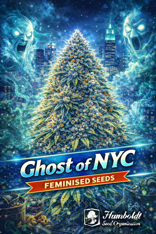 Ghost of NYC Feminised cannabis plant with icy blue frosty buds, glowing ghost figures, and a neon New York skyline in the background, featuring bold strain branding and the Humboldt Seed Organization logo.