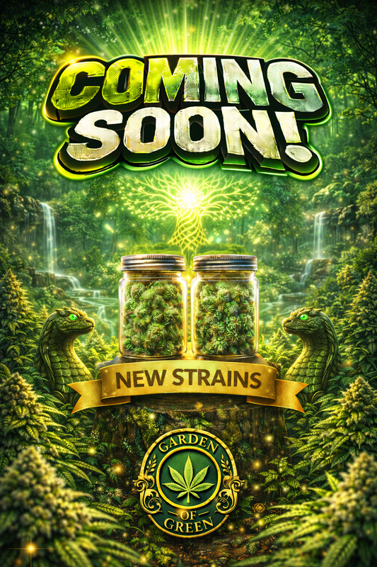 Sherbet Feminised Seeds – Garden Of Green – Garden Of Green cannabis seeds (coming soon)