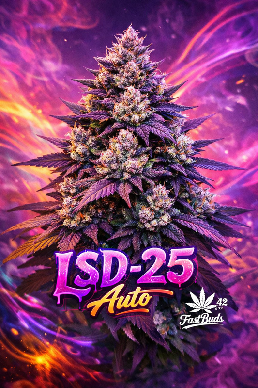Hyper-realistic promotional artwork of the LSD-25 Auto Feminised cannabis strain for Fast Buds, featuring a deep purple, psychedelic-themed plant with an asymmetric branching structure against a neon violet haze background, with the strain name boldly displayed and the Fast Buds logo subtly positioned.