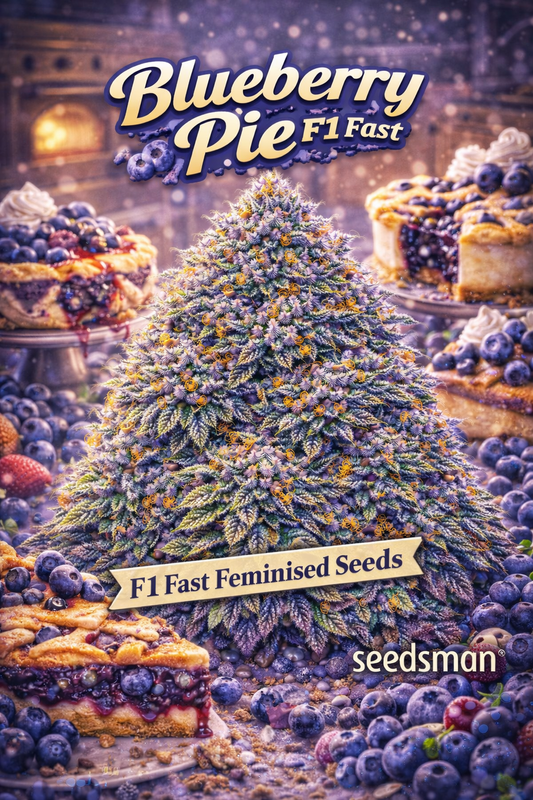 Hyper-realistic promotional artwork of “Blueberry Pie F1 Fast Feminised Seeds – Seedsman,” showing a dense frosty cannabis plant surrounded by blueberry pies, fresh blueberries, and warm pastry-themed props. The plant features thick trichomes, blue-purple hues, and bright orange pistils. A “F1 Fast Feminised Seeds” banner and the Seedsman logo appear at the bottom, with bold “Blueberry Pie F1 Fast” text at the top. No grow equipment shown.