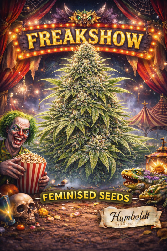 Hyper-realistic Freakshow cannabis plant artwork with dense frosty buds, circus horror theme featuring glowing Freakshow marquee, creepy clown with popcorn, skulls, carnival tents, reptile creatures and cobwebs, strain name Freakshow Feminised Seeds and Humboldt Seed Co. logo at bottom.