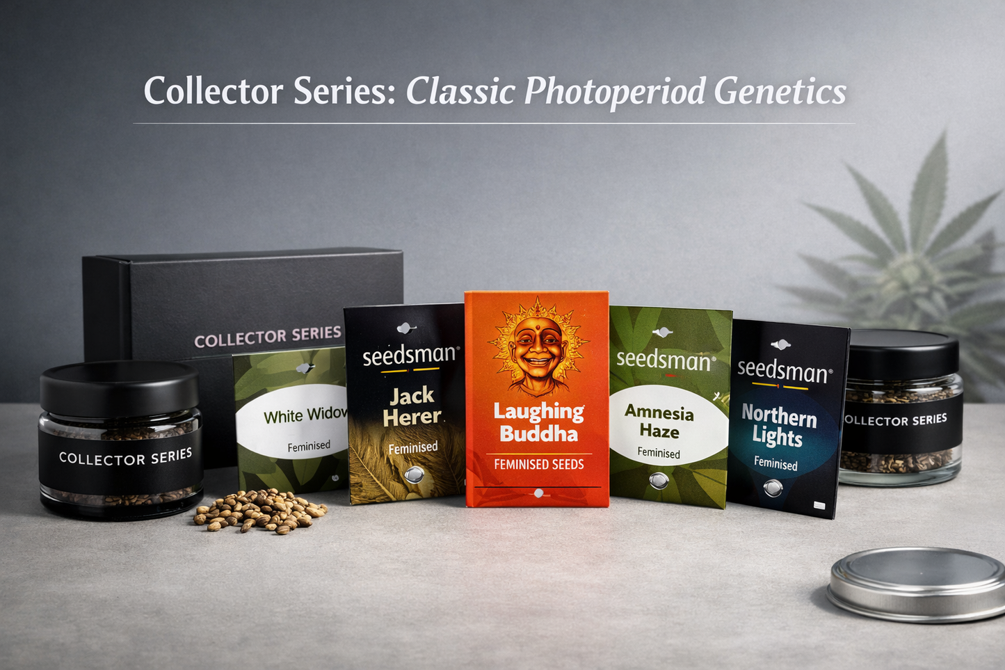 Collector Series Classic Photoperiod Genetics bundle featuring White Widow, Jack Herer, Laughing Buddha, Amnesia Haze and Northern Lights feminised cannabis seeds in a modern studio setting