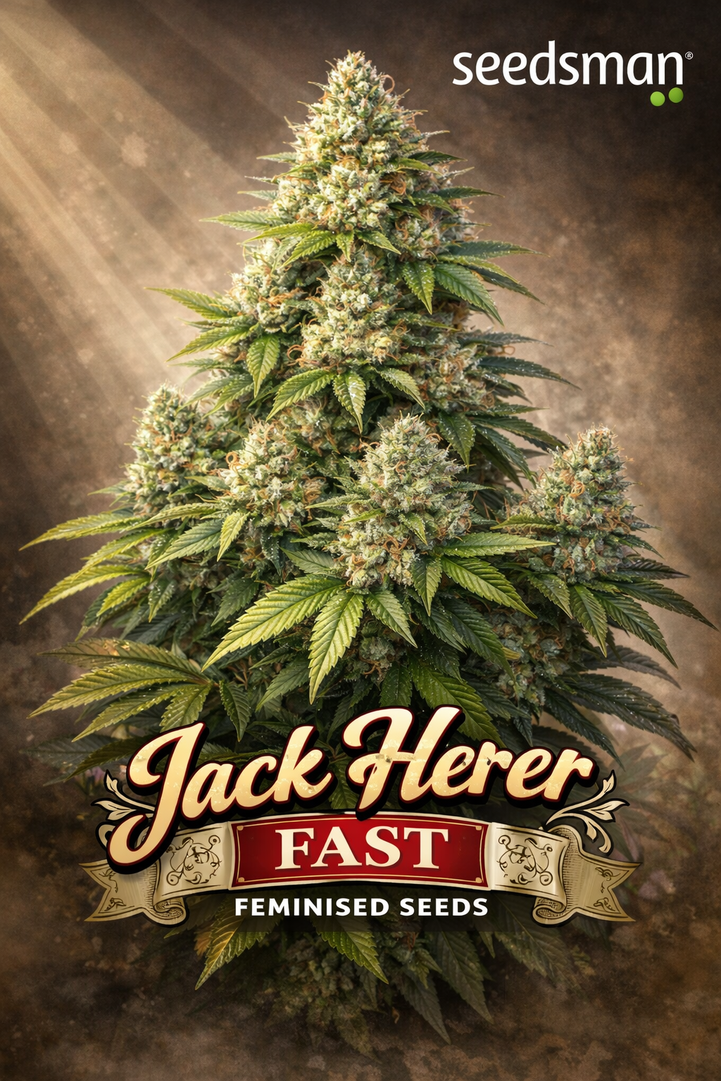 A hyper-realistic promotional artwork for “Jack Herer Fast Feminised Seeds” by Seedsman, showing a tall, uniquely structured cannabis plant with multiple frosty colas, sharp serrated fan leaves, and vibrant green tones, set against a dynamic golden-green haze background with the Seedsman logo positioned subtly and the bold strain name displayed prominently at the bottom.