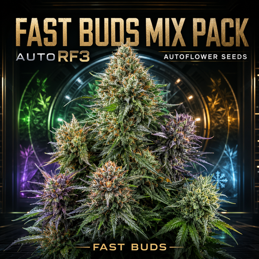Promotional graphic for a 'FAST BUDS MIX PACK' of Autoflowers seeds by AutoRF3, featuring multiple large, detailed cannabis buds in green, purple, and orange tones against a dark, glowing circular background.