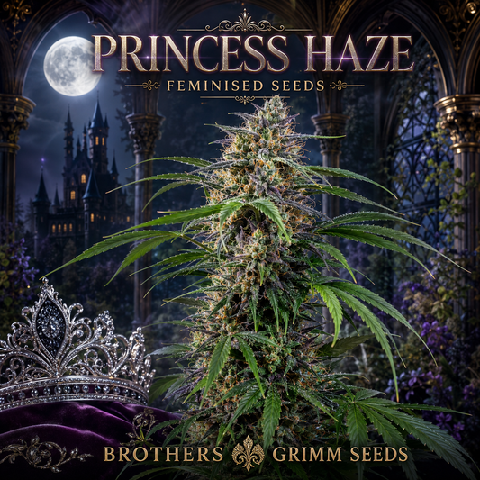 Promotional graphic for 'Princess Haze' feminised seeds by Brothers Grimm Seeds, featuring a large, heavily trichome-covered cannabis bud in the foreground, a silver jeweled tiara on purple velvet, and a gothic castle under a full moon in the background.