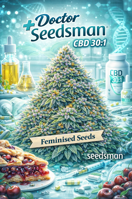 Hyper-realistic promotional artwork of “Doctor Seedsman CBD 30:1 Feminised Seeds – Seedsman,” featuring a dense cannabis plant coated in icy trichomes with green and purple hues and orange pistils. The background is a medical/scientific lab theme with CBD bottles labelled “30:1,” droppers, capsules, beakers, syringes, and glowing DNA helix graphics. A “Feminised Seeds” banner and the Seedsman logo appear at the bottom. No grow equipment shown.