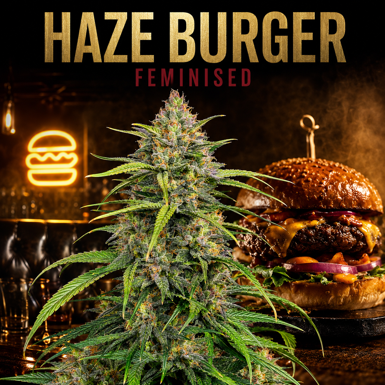 A cannabis flower bud is shown in the foreground with a gourmet burger in the background and bold text reading 'HAZE BURGER FEMINISED' at the top.