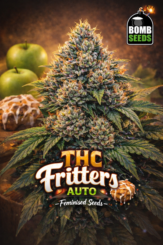 High-detail promotional artwork of THC Fritters Auto by Bomb Seeds, featuring a frosty, resin-covered cannabis plant with a unique silhouette, warm dessert-themed background, bold strain typography, subtle apple fritter cues, and the Bomb Seeds logo. No cultivation imagery shown.
