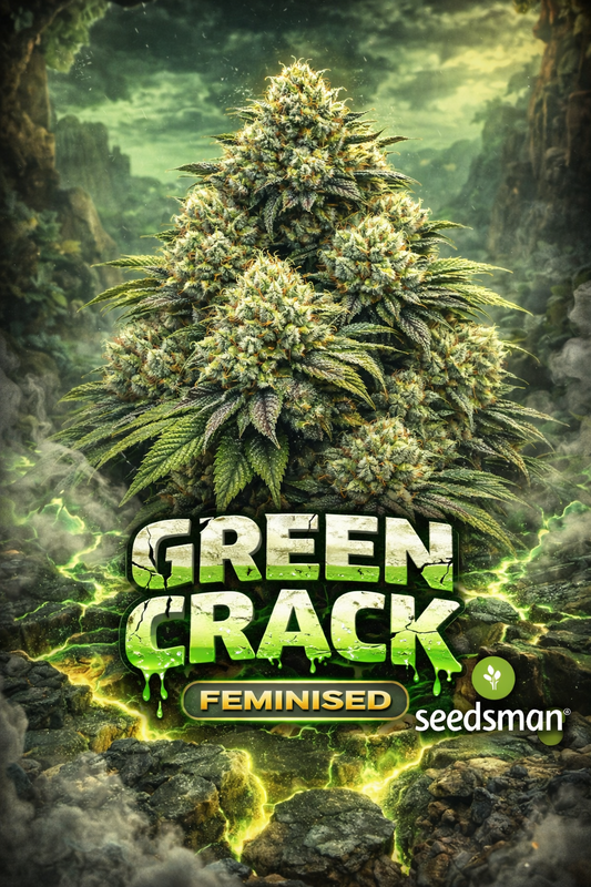 green crack feminised seeds by seedsman hyper realistic cannabis plant with dense frosty buds glowing green cracked earth themed background dramatic lighting bold strain name and seedsman logo