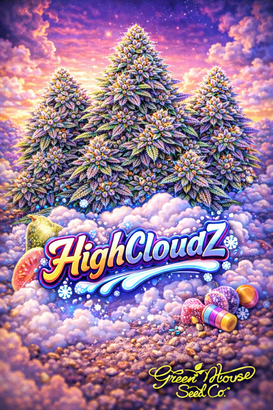 Hyper-realistic promotional artwork for HighCloudZ Feminised Seeds by Greenhouse Seed Co., featuring multiple dense cannabis plants with frosty green and purple buds set against a dreamy pastel cloud-filled sunset, with colourful candies and a sliced fig in the foreground, bold strain text, and the Greenhouse Seed Co. logo.