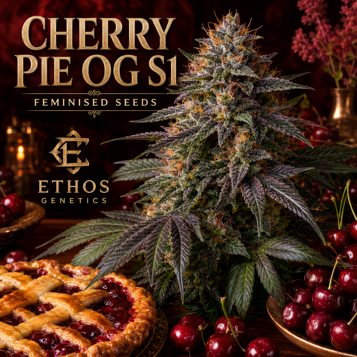 Promotional graphic for Ethos Genetics 'Cherry Pie OG S1' feminised seeds, featuring a large, heavily trichome-covered cannabis bud styled like a cherry pie, surrounded by fresh cherries, a cherry pie crust, and dark background with gold text.